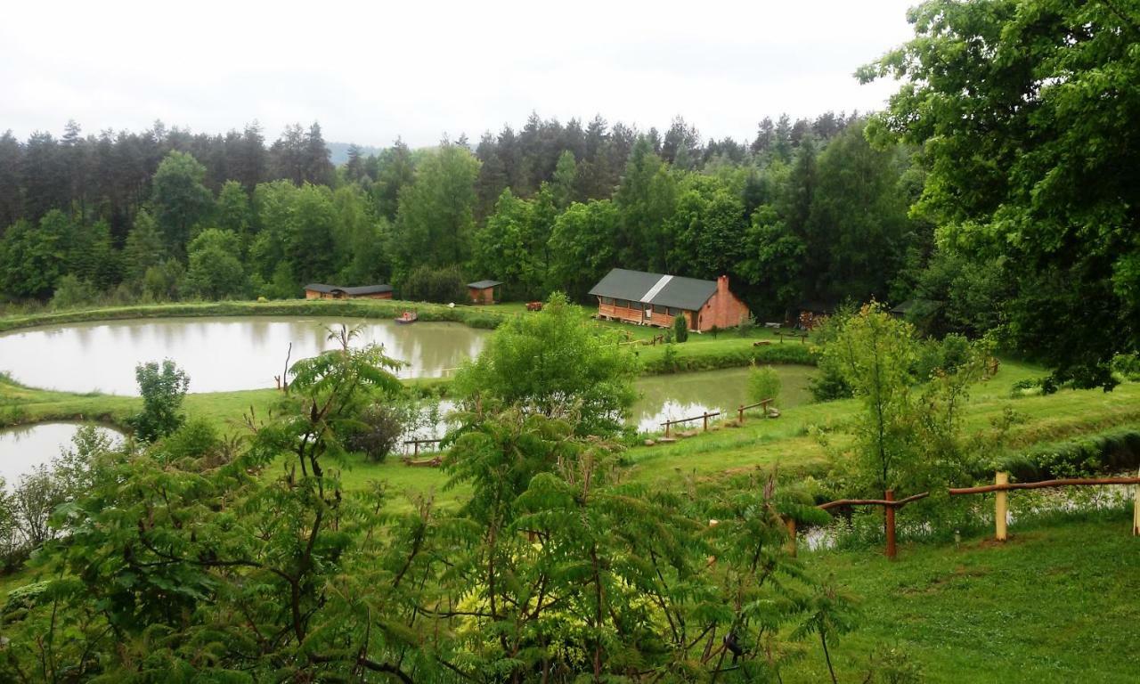 Dolina 4 Stawow Villa Krzywcza Екстериор снимка